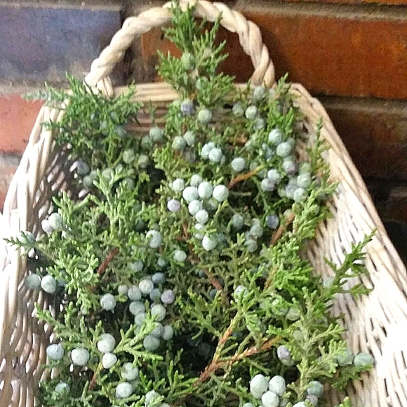 Juniper Berry Necklace - Picture 3 of 4